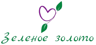 Логотип